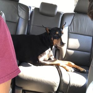 Meet your Posher, Deena